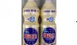 乳酸菌饮品爆料视频播放,爆款视频背后的真相与魅力